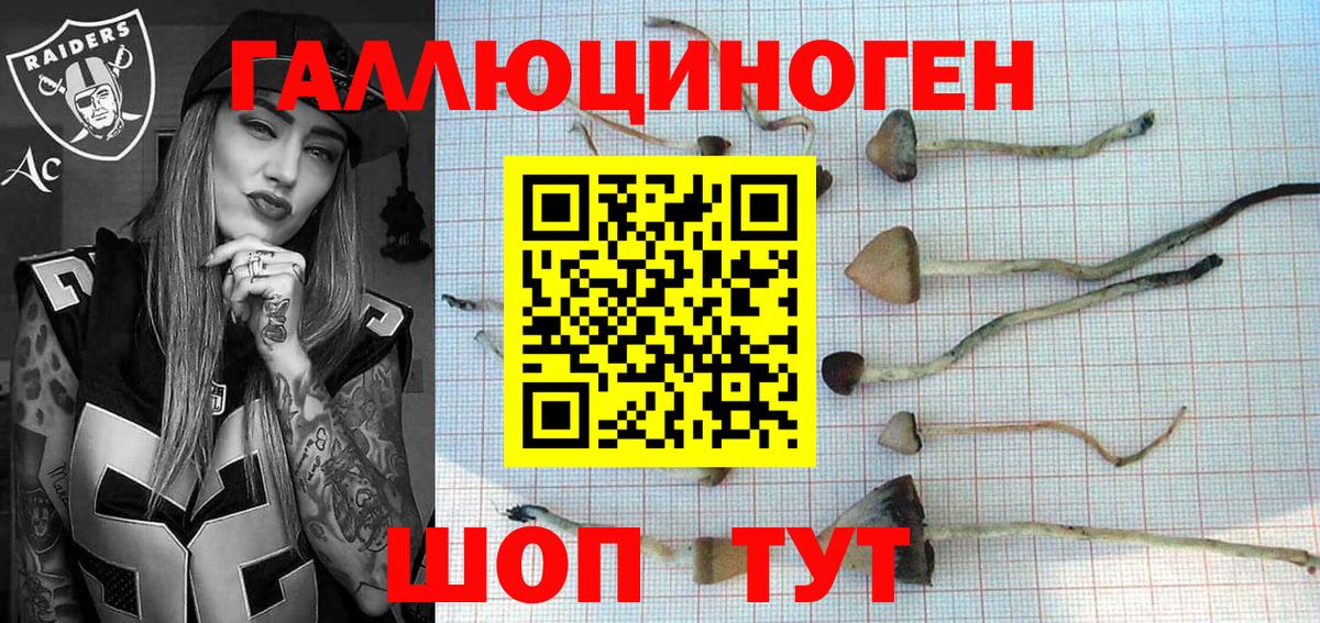Азов  хочу   Вход с VPN  Галлюциногенные грибы мицелий 