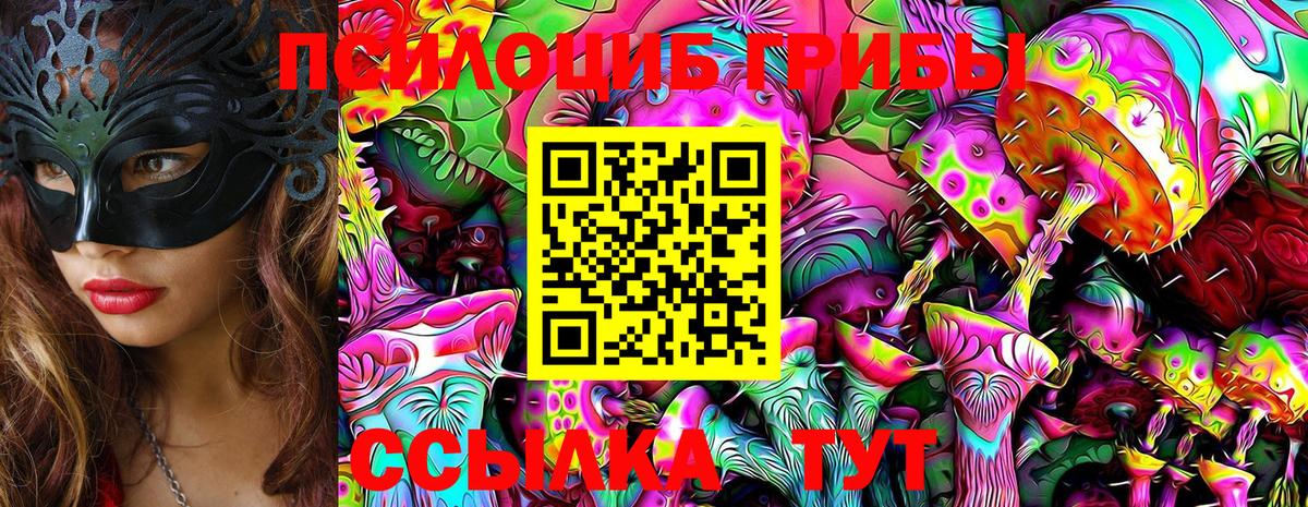 Галлюциногенные грибы Psilocybe Азов